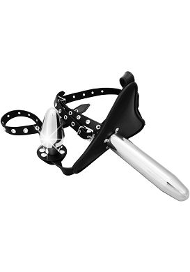 16,5 x 3,4 / 10 x 2,3 - 4,9 cm Umschnalldildo und Plug Alu