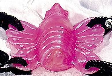 Klitorisvibrator / Klitoris-Stimulator in Form eines Schmetterlings. Mit Stretchbände