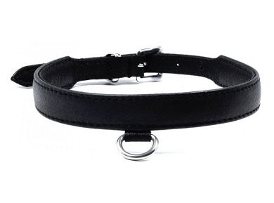 Leder Halsband mit D-Ring SCHWARZ