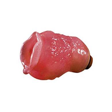 Lolas Pussy