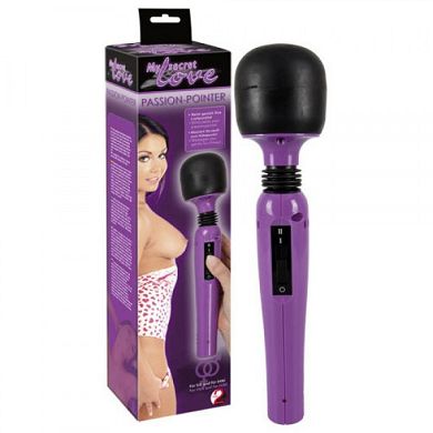 My Secret Love Passion Pointer Massagestab