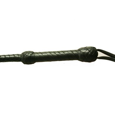 Singletail - Karabace 80 cm lang