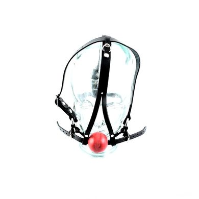head-harness-ball-gag