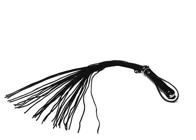 Leder Peitsche DeLuxe