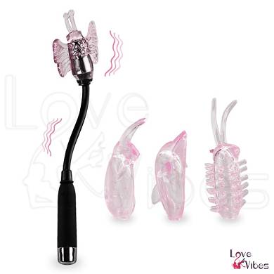 Vibrator mit 4 Aufstzen