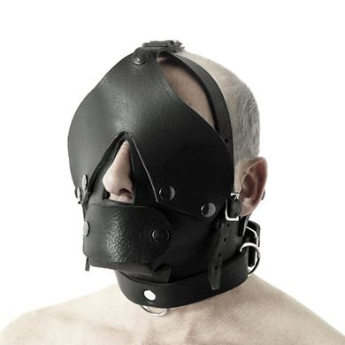 Discipline Head Harness