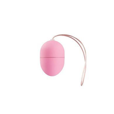 10 speed Wireless Vibrating Egg Small Size Pink