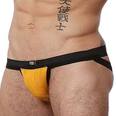 GBGB Alfie Jock Yellow