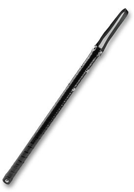 Fetish Fantasy - Obedience Baton