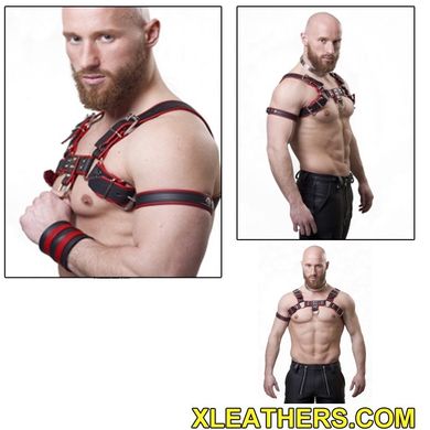 Harness 2 farben aus Rinds und Nappaleder