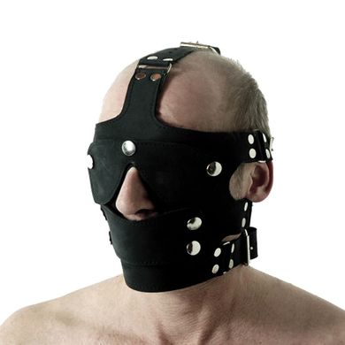 Leather Head Harness