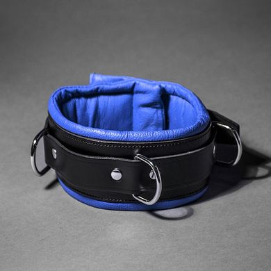 padded-leather-collar