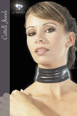 Schwarzes Halsband im Wetlook