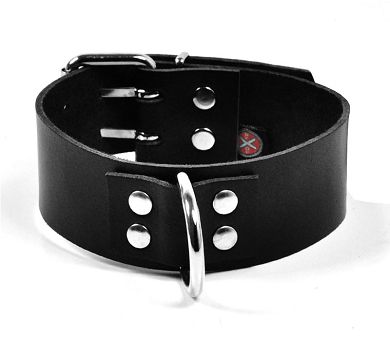 Leder Halsband mit D-Ring - BREIT