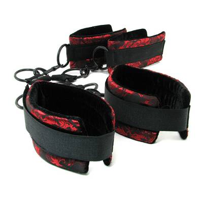 Scandal Hogtie