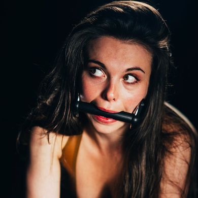 fetters-bit-gag