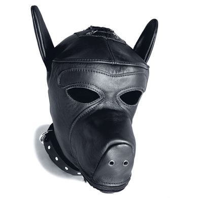 Puppy Dog Hood
