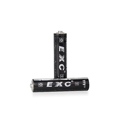 Alkaline AAA Batterien Doppelpack