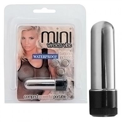 Mini-Vibrator Silver Mini Vibe