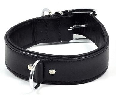 Leder Halsband mit D-Ring