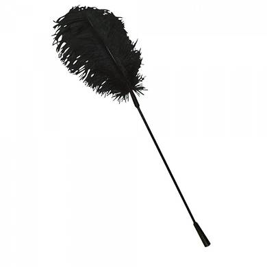Groe Feder - One Size - in Schwarz