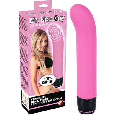 23 x 4 cm Vibrator Mr. Nice Guy pink