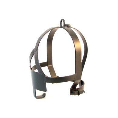 Scolds Bridle