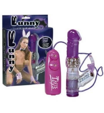 Vibrator 