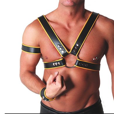 Y Harness