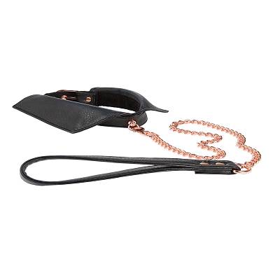 Kettenleine mit Kragenhalsband