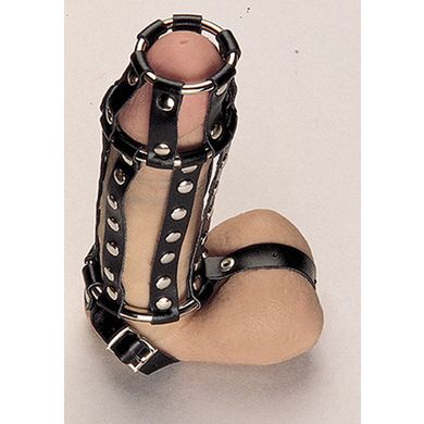 RIMBA Peniskfig klein mit Spikes