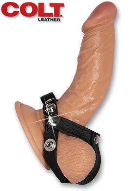 COLT Cockring - H-Piece Divider