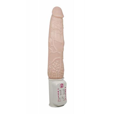 Vibrator ?Push it!?