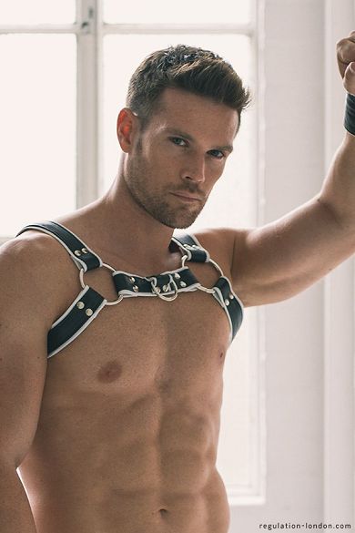 Deluxe_H_-_Harness