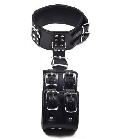 Leder Rckengeschirr DELUXE