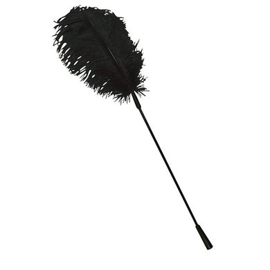Bad Kitty Exotic Wear Feder schwarz
