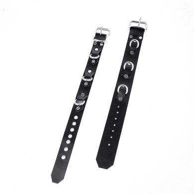 Leather_D-Ring_Collar