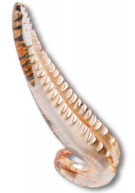 21 x 3,9 cm Glasdildo - The Golden Lick