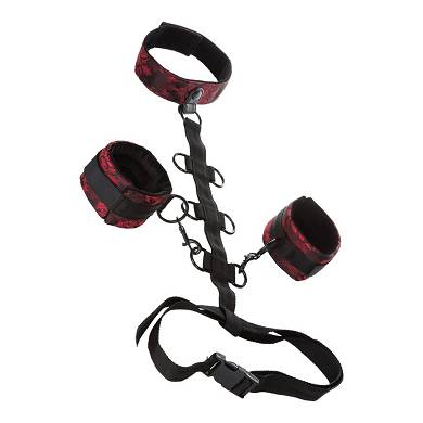 Scandal?- Collar Body Restraint