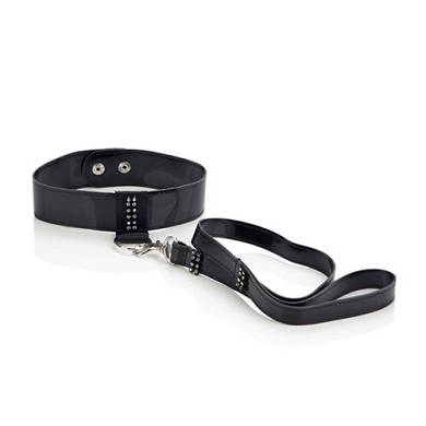 Leine und Halsband in Schwarz