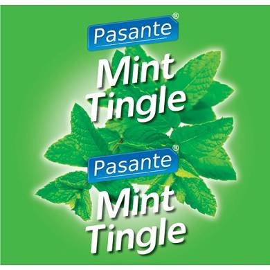 Pasante Mint Flavour Kondome 144 Stck
