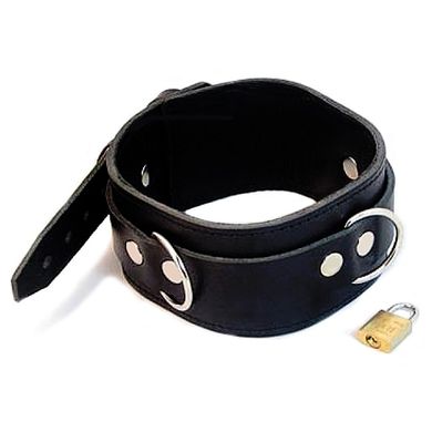 Classic Leather Collar