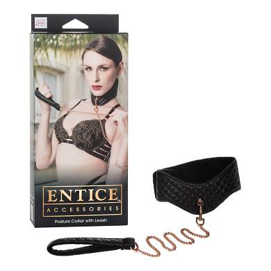Entice? Posture Collar with Leash ? Entice Halsband mit Leine