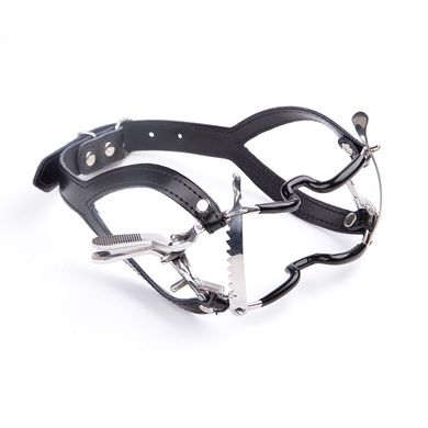 Whitehead Gag & Strap