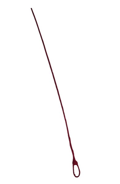 Rute - rot