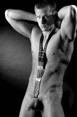 Federplatten Harness