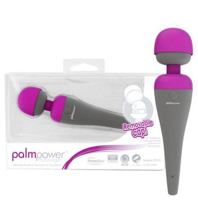 Massager PalmPower - Massagestab & Body-Vibrator - wiederaufladbar
