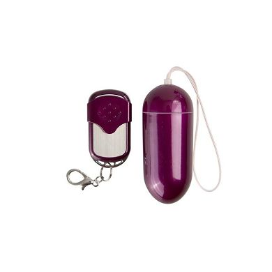 10 speed Wireless Vibrating Egg Deluxe, Big, Lila