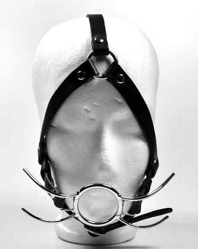 Leder Kopfgeschirr SPIDER