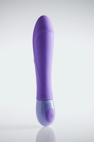Toy Joy Shades Of Purple Vibrator 